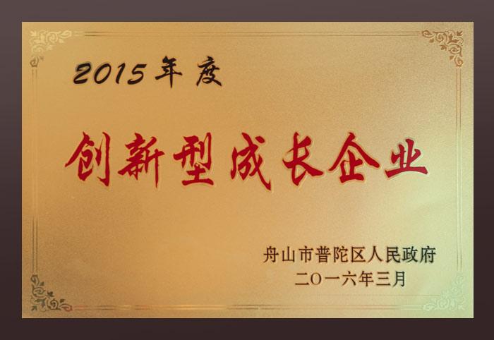 2015年度創(chuàng)新型成長(zhǎng)企業(yè)